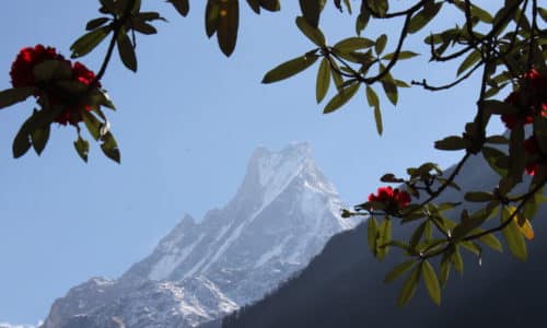 Annapurna Base Camp Trek