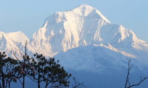 Nepal zum Kennenlernen – Trekking, Safari & Kultur