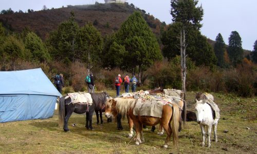 Druk Path Trek in Bhutan