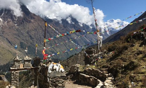 Nepal: Trek rund um den Manaslu (T162): Samagaon