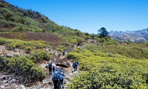 Bhutan Druk Path Trek