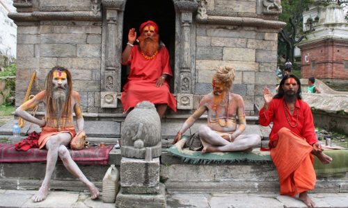 Kultur in Nepal: Shadus in Pashupatinath