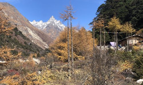 Nepal: Trek zum Kanchenjunga Base Camp (T173)