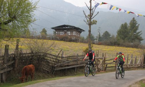 Mit dem Fahrrad quer durch Bhutan