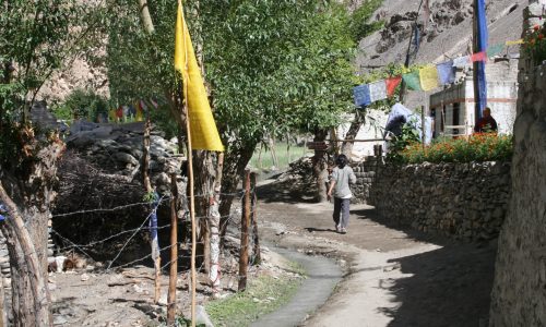 Markha Valley Trek | Ladakh | Indien