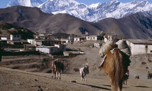 Nepal | Annapurna-Runde: Pilgerort Muktinath im Jahr 1996