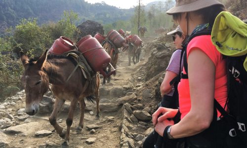 Trek zum Ama Dablam Base Camp | Nepal