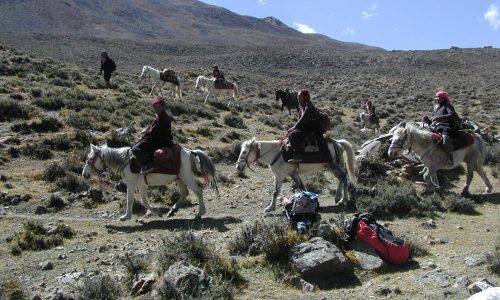 Dolpo