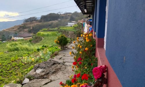 Blumenschmuck vor einer Lodge auf dem Sikles Trek in Nepal (T116)