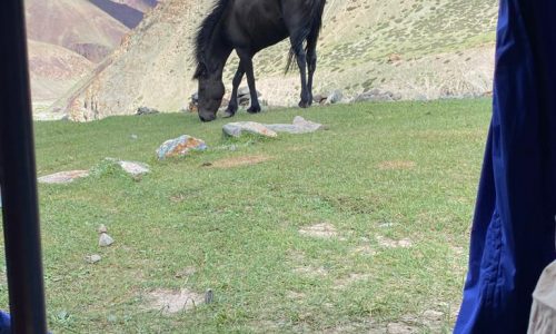 Ladakh-Trekking: Blick aus dem Zelt