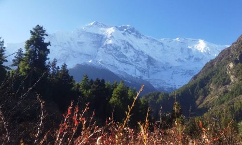 Nepal | Annapurna Circuit: Weg nach Jagat mit Blick auf Annapurna 2